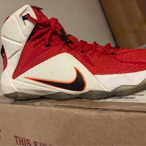 LeBron Nike High-Top Basketball Shoe